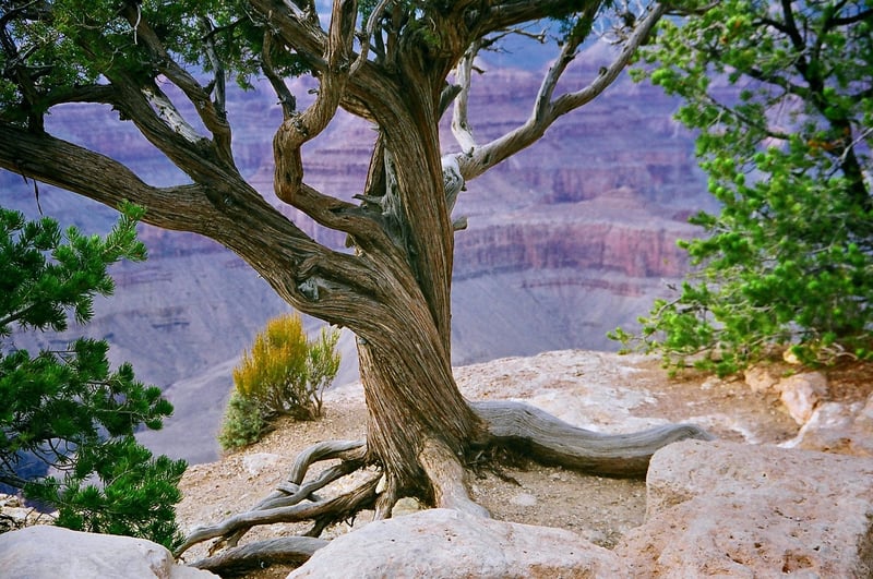 Grand Canyon, USA
