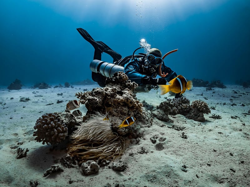 Underwater coral reef
